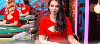 নিবন্ধন লগইন ও বাজেট নির্ধারণের ধাপ